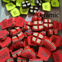 Ceramic Polishing Tool M50023ACE-ceramic