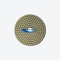 3inch~7inch Resin Wet Polishing Pad