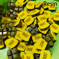 Resin/Copper/Ceramic Polishing Tool M50023ACE-resin-resin
